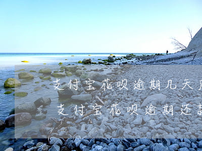 支付宝花呗逾期几天后还款还可以继续用吗（支付宝花呗逾期还款还能再用吗）