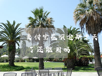 支付宝花呗逾期十天了(支付宝花呗逾期十天了还能用吗)
