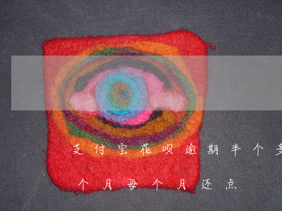 支付宝花呗逾期半个多月(支付宝花呗逾期几个月每个月还点)