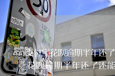 支付宝花呗逾期半年还了还能用吗-支付宝花呗逾期半年还了还能用吗怎么办