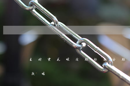 支付宝花呗逾期协商分期(花呗能协商分期还款吗)