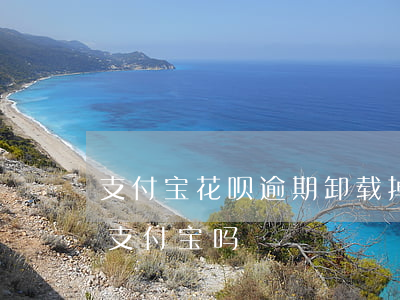 支付宝花呗逾期卸载掉重新 花呗逾期能注销支付宝吗