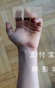 支付宝花呗逾期可以当兵吗-支付宝花呗逾期影响当兵吗