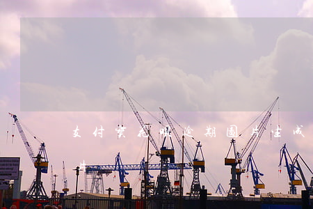 支付宝花呗逾期图片生成(支付宝花呗逾期图片)