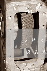 支付宝花呗逾期多久会发律师函-支付宝借呗花呗逾期律师函来了后果严重吗