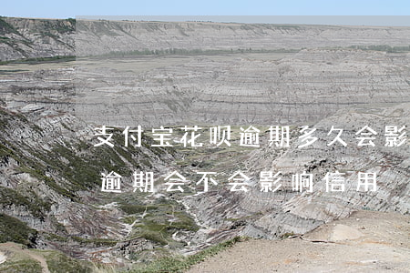 支付宝花呗逾期多久会影响征信（支付宝花呗逾期会不会影响信用）