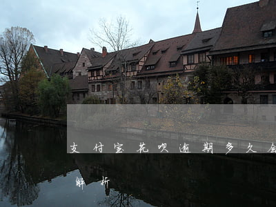 支付宝花呗逾期多久会被冻结？影响与后果解析