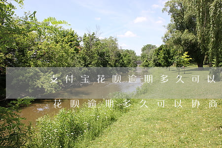 支付宝花呗逾期多久可以协商还款-支付宝花呗逾期多久可以协商还款啊