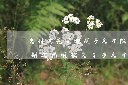 支付宝花呗逾期多久才能开通借呗 支付宝逾期过,借呗被关了,多久才能重新开通?