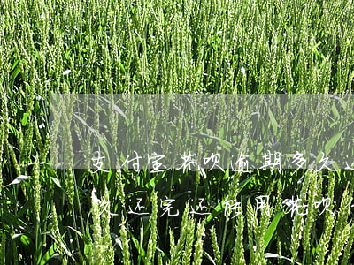 支付宝花呗逾期多久还全款-支付宝逾期很久还完还能用花呗 借呗么