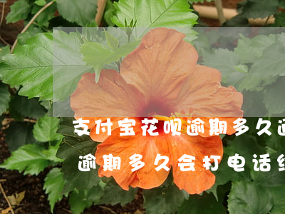支付宝花呗逾期多久通知通讯录 支付宝花呗逾期多久会打电话给通讯录里的人
