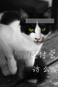 支付宝花呗逾期家访吗(支付宝花呗逾期会家访么)