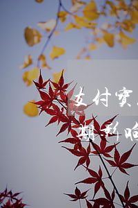 支付宝花呗逾期影响刷脸吗-支付宝花呗逾期影响刷脸吗安全吗