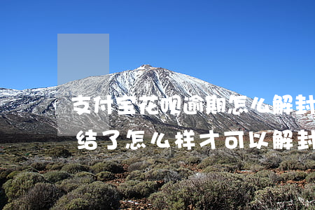 支付宝花呗逾期怎么解封(支付宝花呗逾期冻结了,怎么样才可以解封)