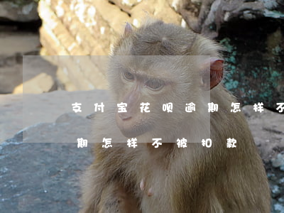 支付宝花呗逾期怎样不被扣-支付宝花呗逾期怎样不被扣款