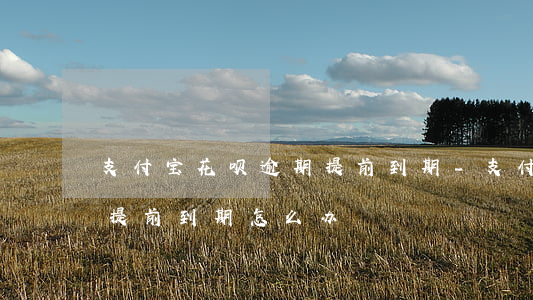 支付宝花呗逾期提前到期-支付宝花呗逾期提前到期怎么办
