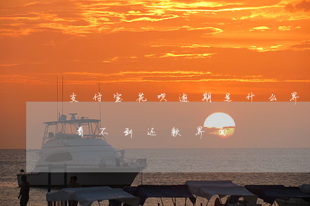 支付宝花呗逾期是什么界面-花呗逾期怎么看不到还款界面