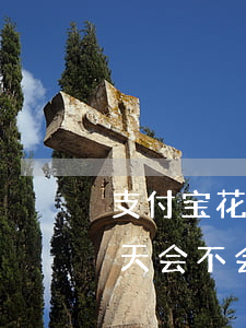 支付宝花呗逾期是复息吗(支付宝花呗逾期两天会不会有什么影响)