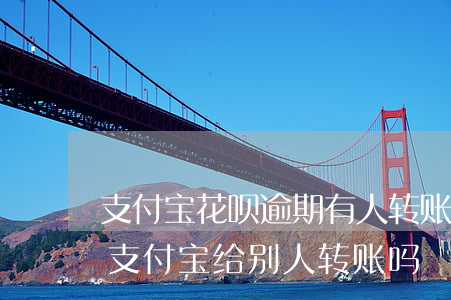 支付宝花呗逾期有人转账(花呗逾期还可以用支付宝给别人转账吗)