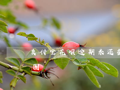 支付宝花呗逾期未还截图(花呗未还款图片截图)