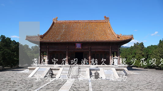 支付宝花呗逾期欠钱很少(花呗欠款逾期支付宝有钱就会被扣走吗)