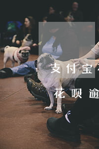 支付宝花呗逾期没还会找家里来吗-支付宝花呗逾期不还会上门吗