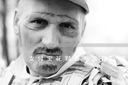 支付宝花呗逾期流程（支付宝花呗逾期话术）