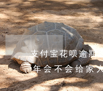 支付宝花呗逾期联系家里人 蚂蚁花呗逾期半年会不会给家人打电话