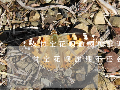 支付宝花呗逾期被起诉会有什么后果严重（支付宝花呗逾期不还会起诉吗）