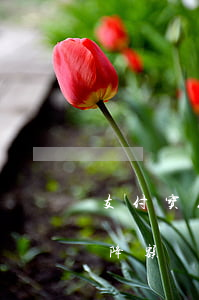 支付宝花呗逾期解冻(支付宝花呗逾期解冻后降额)