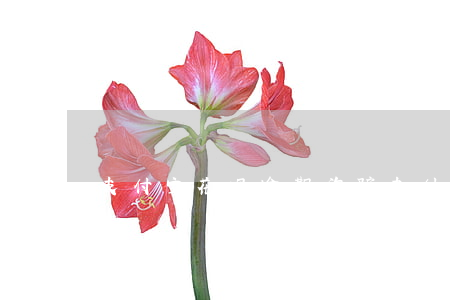 支付宝花呗逾期诈骗(支付宝花呗逾期起诉是真的?)