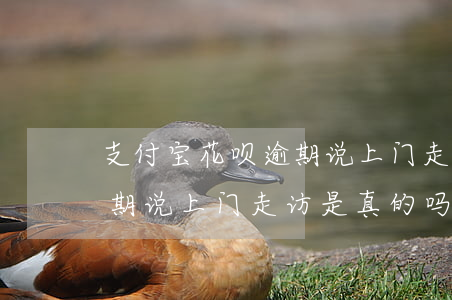 支付宝花呗逾期说上门走访-支付宝花呗逾期说上门走访是真的吗
