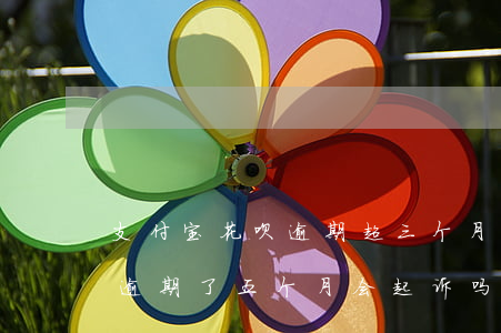 支付宝花呗逾期超三个月(支付宝花呗欠三千逾期了五个月会起诉吗)