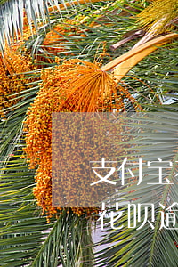支付宝花呗逾期过几天还会怎么样-支付宝花呗逾期过几天还会怎么样吗