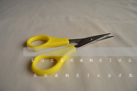 支付宝花呗逾期还了以后还能用吗-支付宝花呗逾期还了以后还能用吗安全吗
