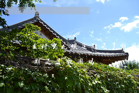 支付宝花呗逾期还了能用吗-支付宝花呗逾期还了能用吗