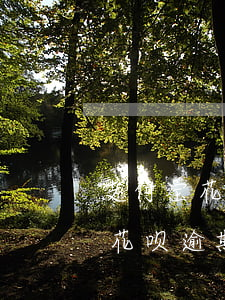 支付宝花呗逾期还了还能用花呗吗-支付宝花呗逾期还了还能用花呗吗