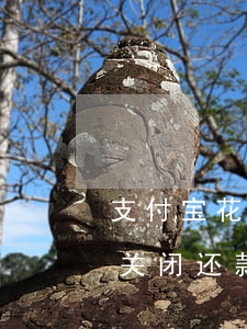 支付宝花呗逾期还款通道关闭(支付宝逾期会关闭还款通道吗)
