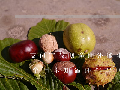 支付宝花呗逾期还能坐飞机吗(花呗逾期了几个月不知道还能坐飞机吗)