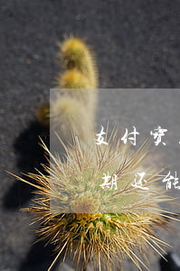 支付宝花呗逾期还能套用现-支付宝花呗逾期还能套用现金吗