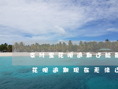 支付宝花呗逾期还能最低还款6 我的支付宝花呗逾期现在无法还最低还款怎么办