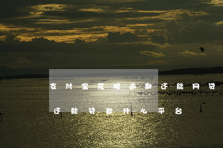 支付宝花呗逾期还能网贷吗(支付宝花呗逾期还能贷款什么平台)