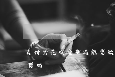 支付宝花呗逾期还能贷款吗（花呗逾期还能借贷吗）