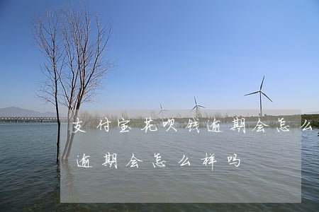 支付宝花呗钱逾期会怎么样-支付宝花呗钱逾期会怎么样吗