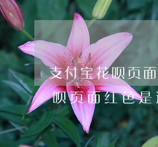 支付宝花呗页面红色是逾期了吗-支付宝花呗页面红色是逾期了吗怎么办