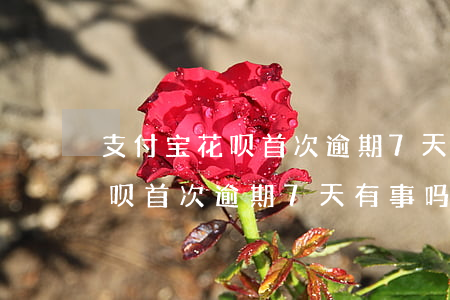 支付宝花呗首次逾期7天有事吗-支付宝花呗首次逾期7天有事吗怎么办