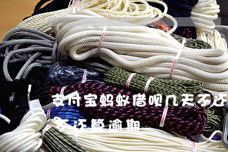 支付宝蚂蚁借呗几天不还算逾期(借呗多少天不还算逾期)