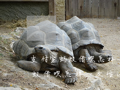 支付宝蚂蚁借呗怎样一次性还款-支付宝蚂蚁借呗怎样一次性还款啊