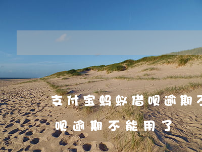 支付宝蚂蚁借呗逾期不能用-支付宝蚂蚁借呗逾期不能用了