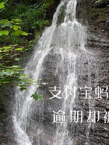 支付宝蚂蚁借呗逾期被停款还清(支付宝从未逾期,却被关了借呗?原因在这)